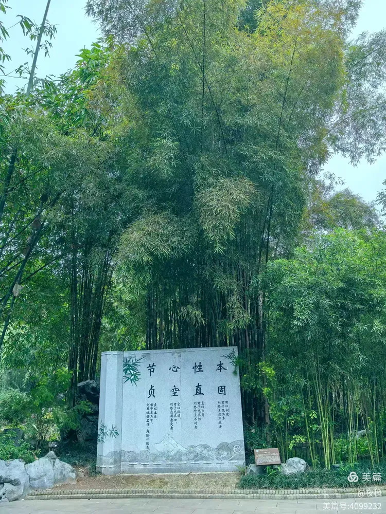 如诗如画的青秀山